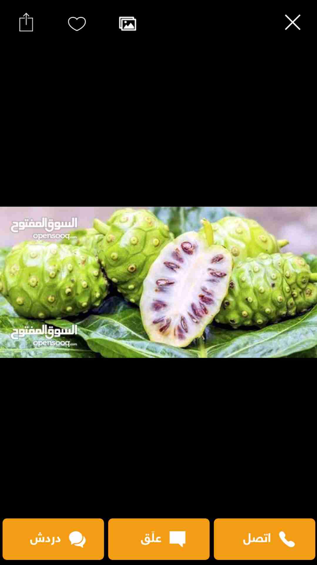 النوني
لا تنسَ أنك شاهدت هذا الإعلان في عنكبوت
مرحبا ...كيفك؟ ؟
انا اليوم جزء من مشروع يختص...