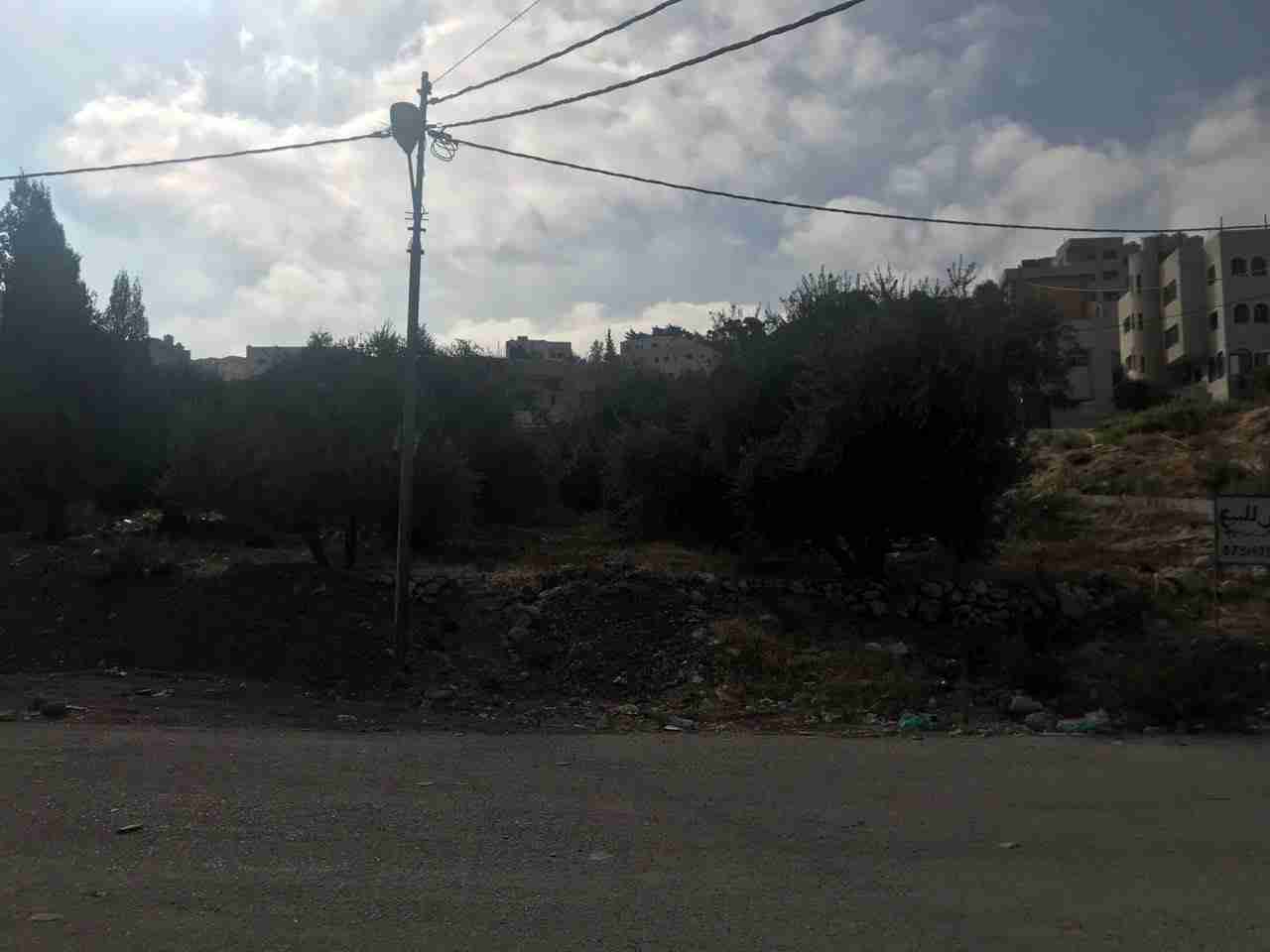 قطعة ارض مميزة في عين الباشا
لا تنسَ أنك شاهدت هذا الإعلان في عنكبوت
الارض في عين الباشا بالق...