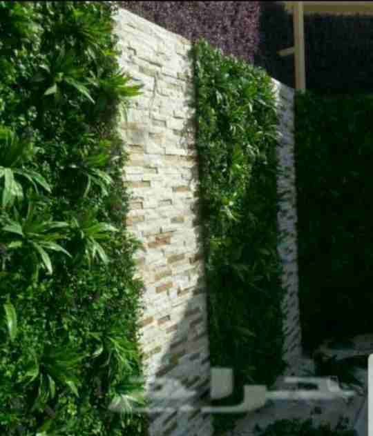 عشب صناعي جداري وحدائق0563673229
لا تنسَ أنك شاهدت هذا الإعلان في عنكبوت
توريد وتركيب العشب الصنا...