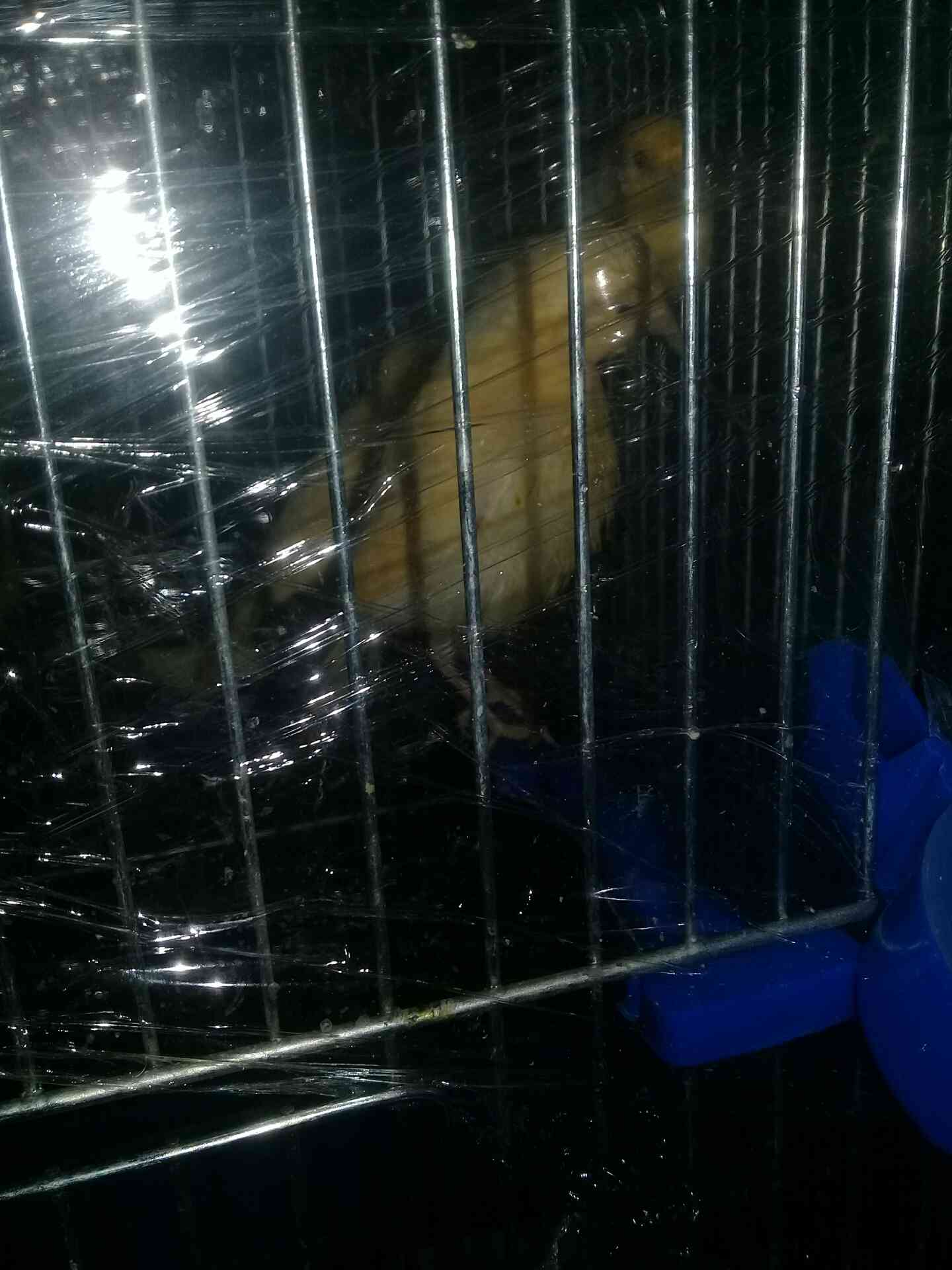 جبل الزهور
لا تنسَ أنك شاهدت هذا الإعلان في عنكبوت
بصلى على النبي 3 مخليف جزريات البيع سعر ال...