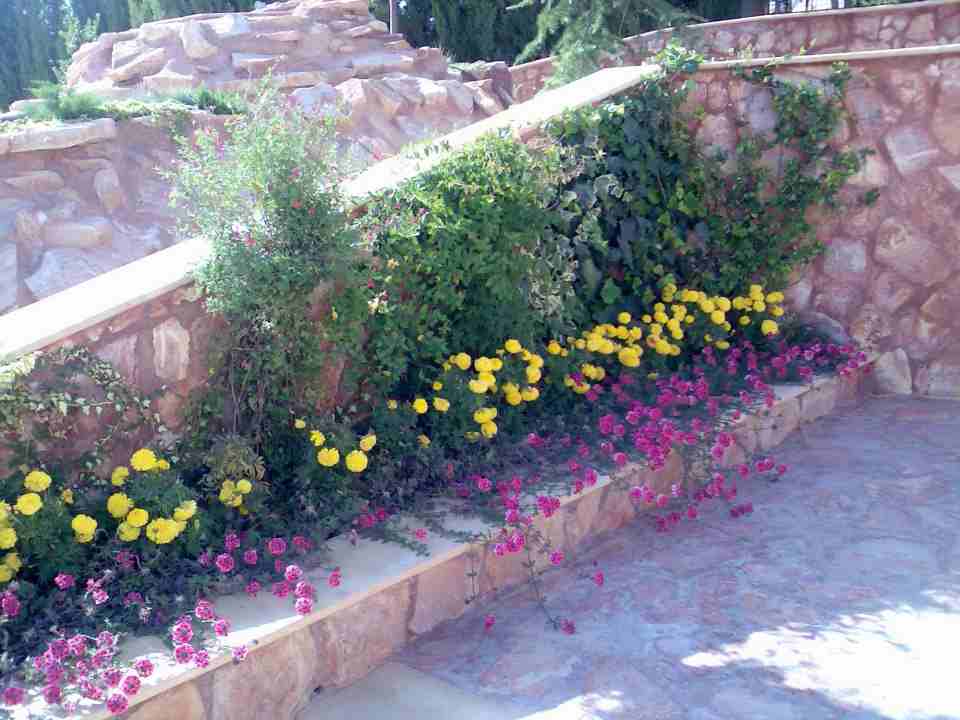 العلاونه لتنسيق الحدائق فلل وقصور 0796516675
لا تنسَ أنك شاهدت هذا الإعلان في عنكبوت
تنسيق حدائق...
