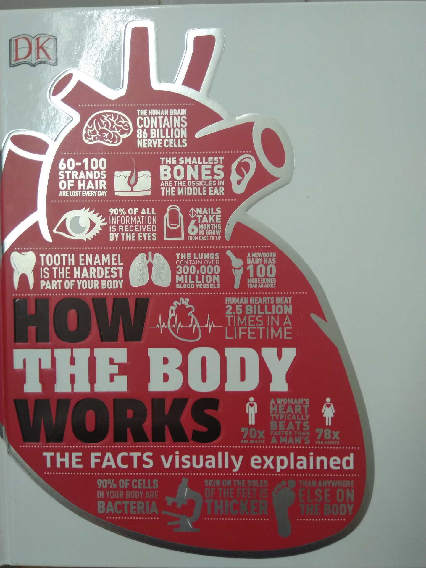 How The Body Works : The facts visually explained                                            


	 				لا تنسَ أنك شاهدت هذا الإعلان في عنكبوت            
	 				
                                كتا...