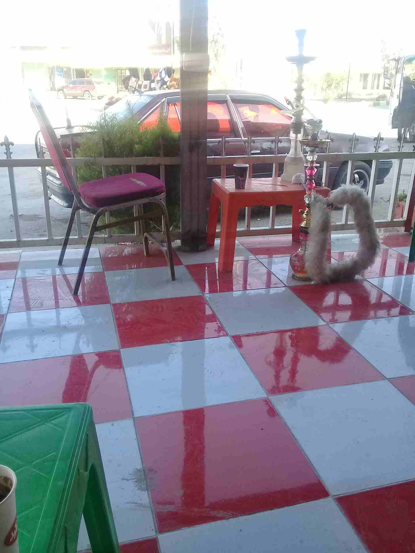 للبدل على باص                                            


	 				لا تنسَ أنك شاهدت هذا الإعلان في عنكبوت            
	 				
                            كدت ماتور حلاب 14...