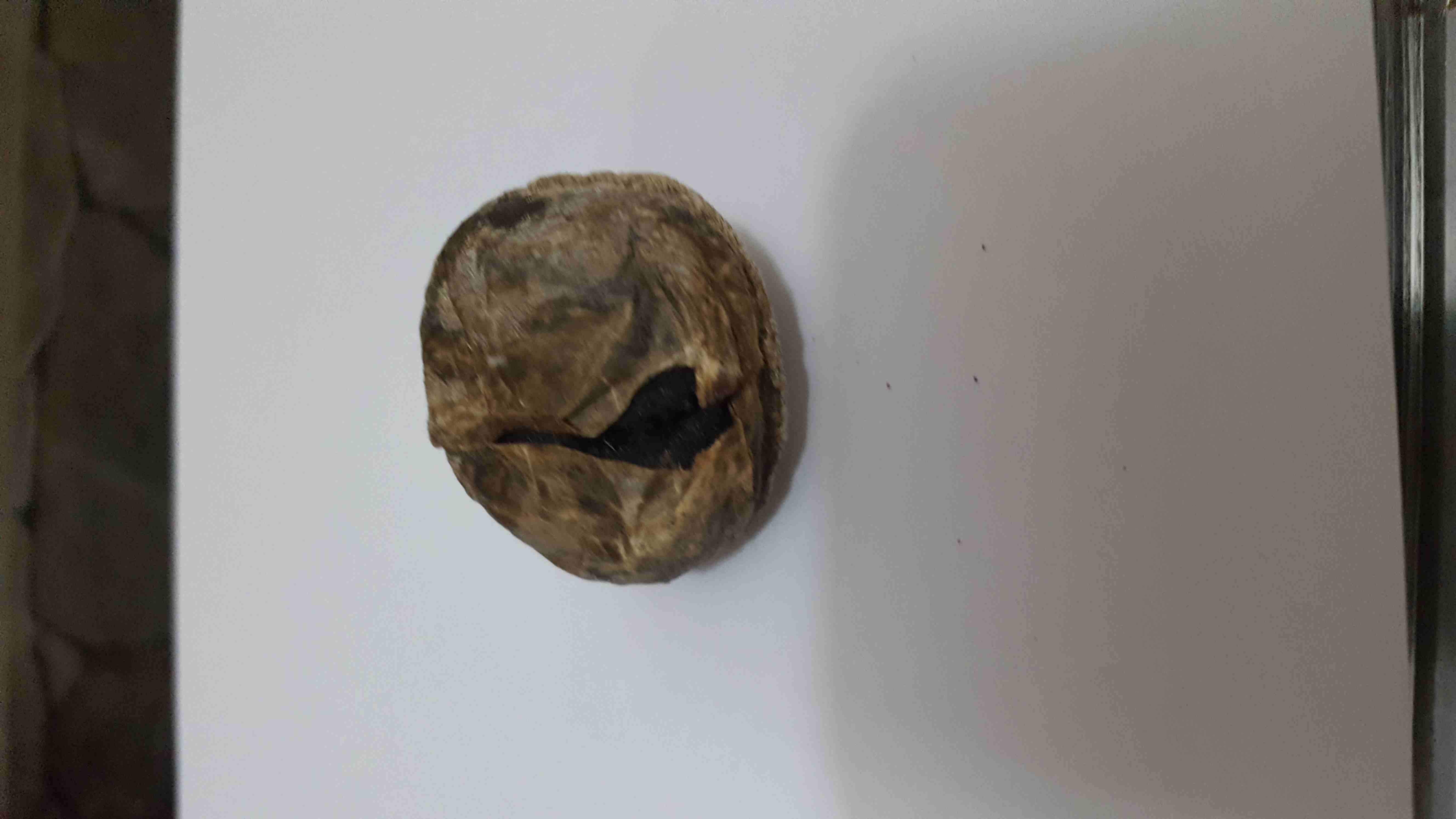 صرة مسك غزال أصلي بودرة خام
لا تنسَ أنك شاهدت هذا الإعلان في عنكبوت
الى عشاق الأصل .. الى عشاق ال...