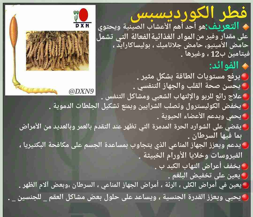 منتجات دكسن عضوية وصحية
لا تنسَ أنك شاهدت هذا الإعلان في عنكبوت
منتجات عضوية وصحية
لمن يبحث ع...