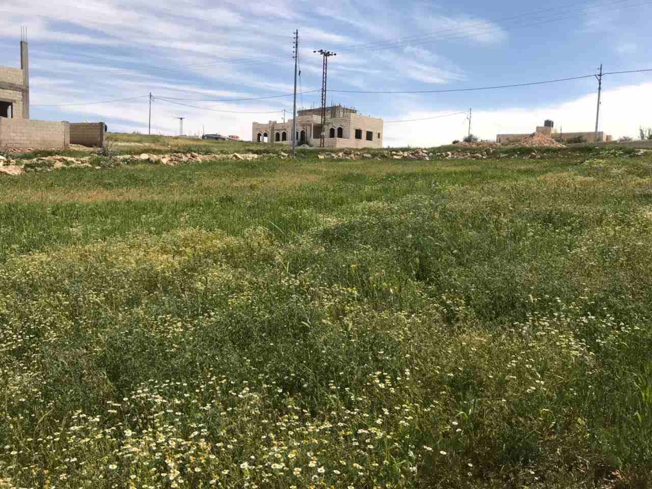 قطعة أرض للبيع شرق عمان منطقة البيضاء
لا تنسَ أنك شاهدت هذا الإعلان في عنكبوت
قطعة أرض للبيع مساح...