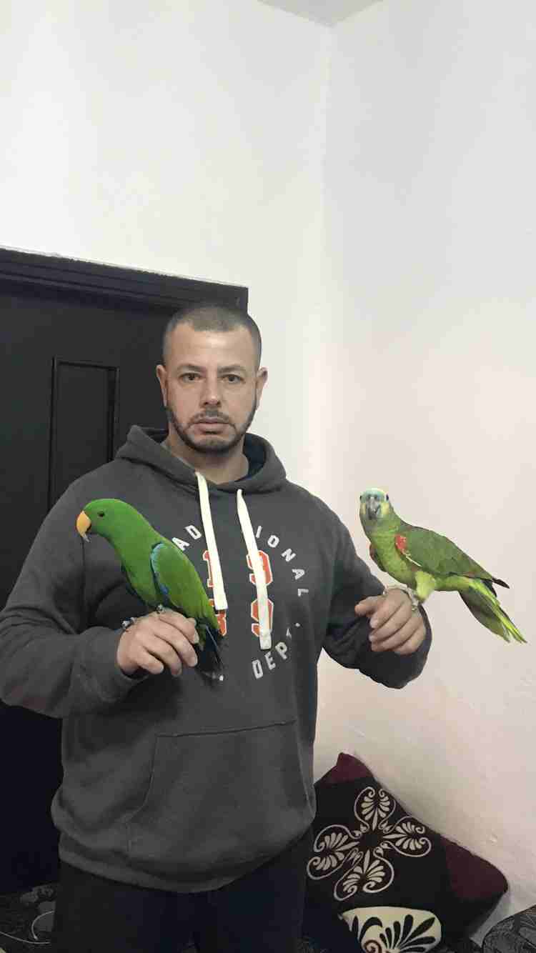 خبير طيور المعاكيف ابو ايهم
لا تنسَ أنك شاهدت هذا الإعلان في عنكبوت
بيع شراء تبديل ترويض علاج ق...