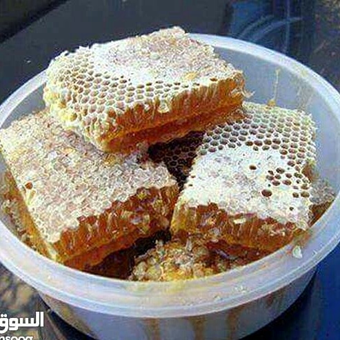 مناحل الشمال
لا تنسَ أنك شاهدت هذا الإعلان في عنكبوت
كبير نحالي الشمال
مناحل سوار العسل...