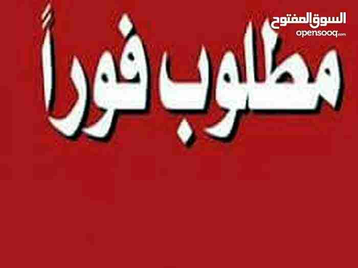 مطلوب طيره حلبيه المانيه نخب  او نوريت بواز نخب بسعر معقول                                            


	 				لا تنسَ أنك شاهدت هذا الإعلان في عنكبوت...
