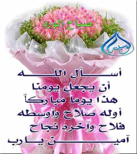 مطلوب خلوي اقساط أولي 100 وآخره 100 نوع s9  او نوع كويس غير هيك ما في مشكله                                            


	 				لا تنسَ أنك شاهدت هذا الإعلان في عنكبوت...