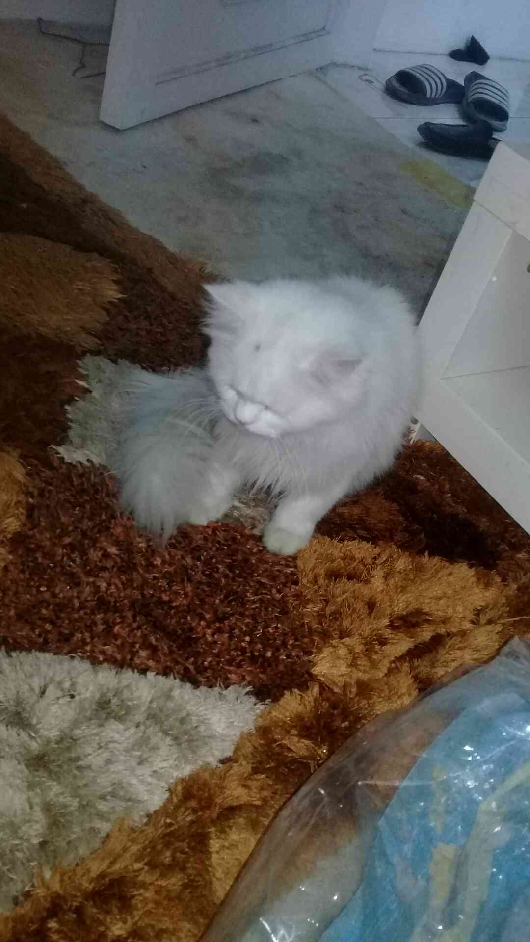 جده  qwasdf                                            


	 				لا تنسَ أنك شاهدت هذا الإعلان في عنكبوت            
	 				
                                aham...