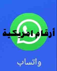 ارفام امريكيه للواتس                                            


	 				لا تنسَ أنك شاهدت هذا الإعلان في عنكبوت            
	 				
                            ارقام امريكيه للواتس مقابل بطاقة شحن...