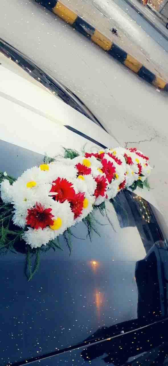 فورد موستنج كشف الاعراس والافراح 0785856774
لا تنسَ أنك شاهدت هذا الإعلان في عنكبوت
فورد موستنج ك...