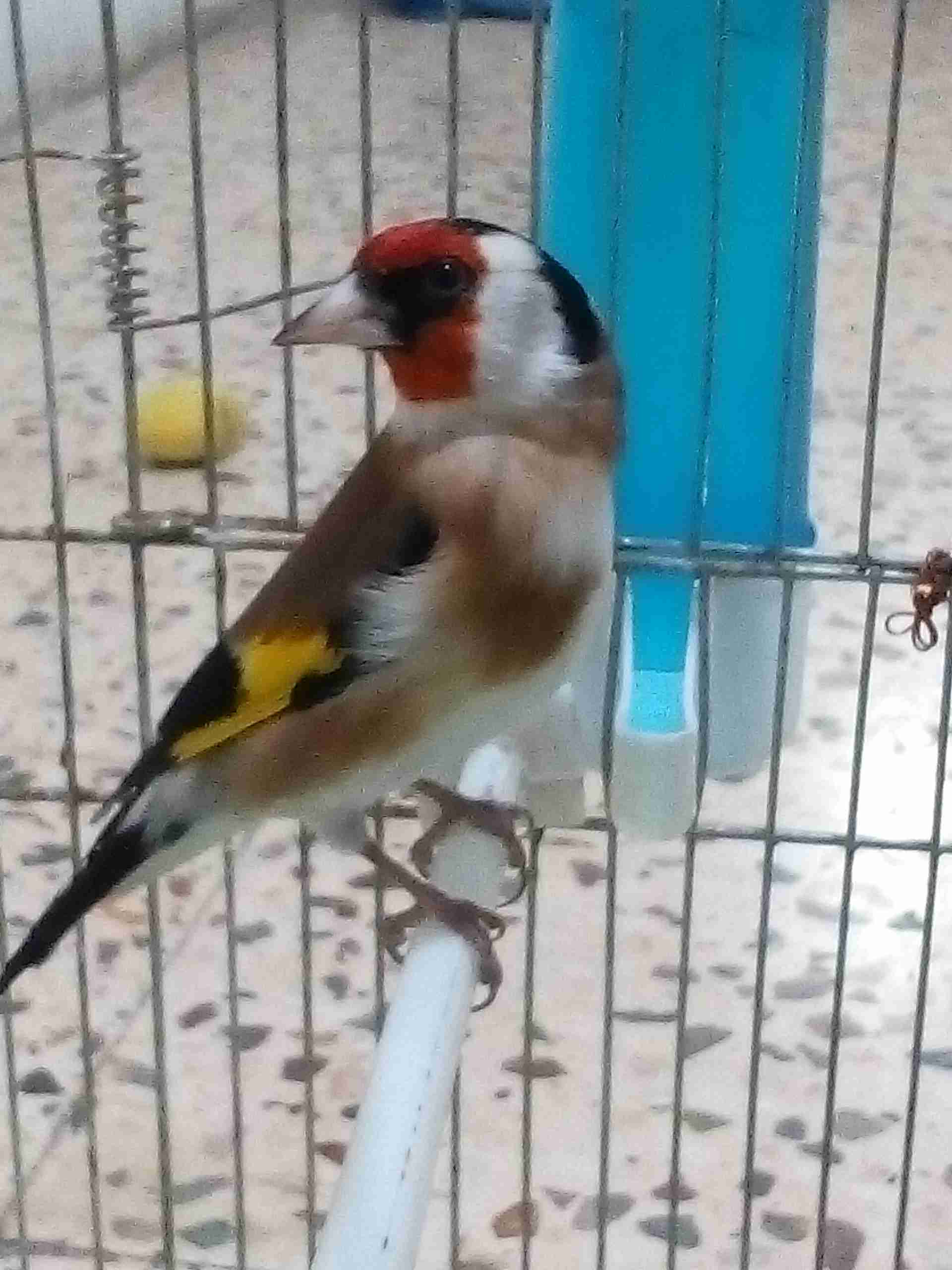 ذكر حسون ما شاء الله                                            


	 				لا تنسَ أنك شاهدت هذا الإعلان في عنكبوت            
	 				
                                ذكر حسون عقال طفره حبي ما شاء ال...