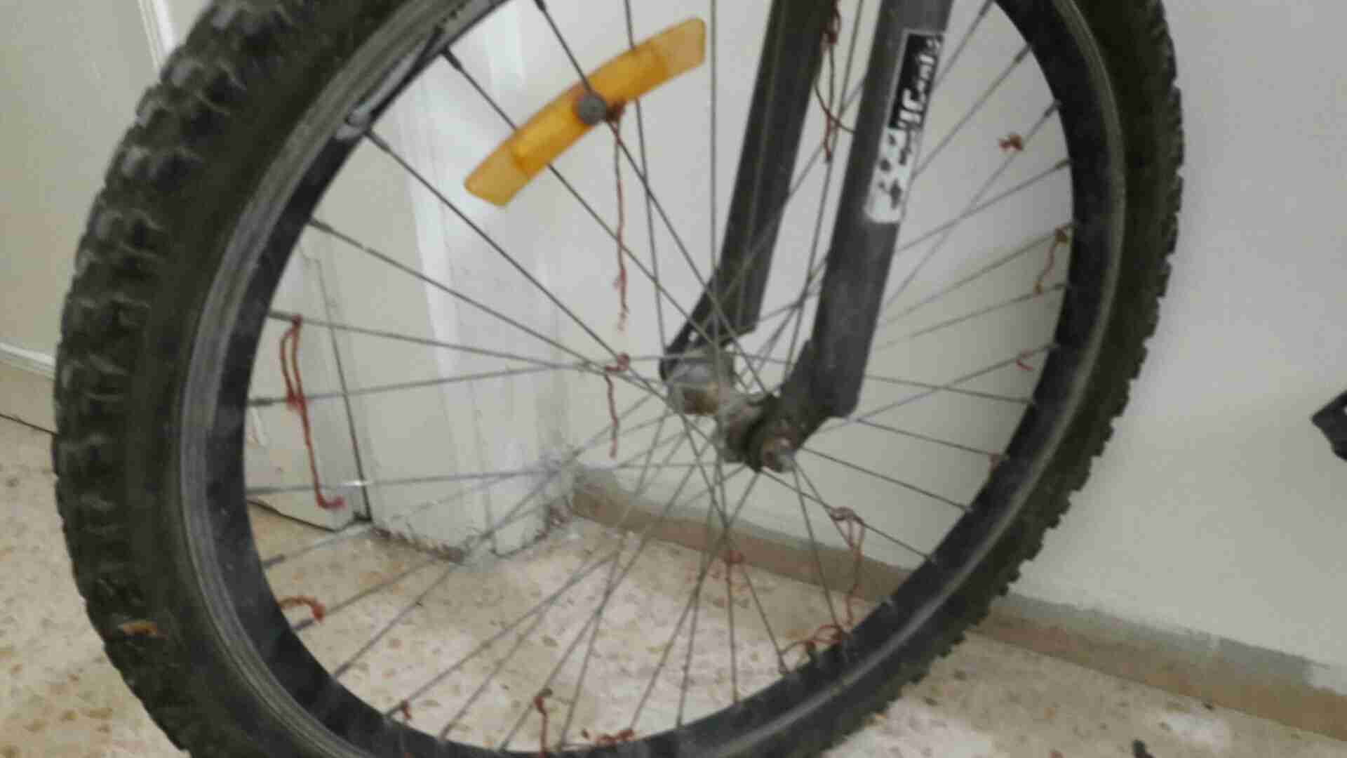 باسكاليت SUPER CLASSIC SPORTS BICYCLE                                            


	 				لا تنسَ أنك شاهدت هذا الإعلان في عنكبوت            
	 				
                                بحالت الوكالة ف...