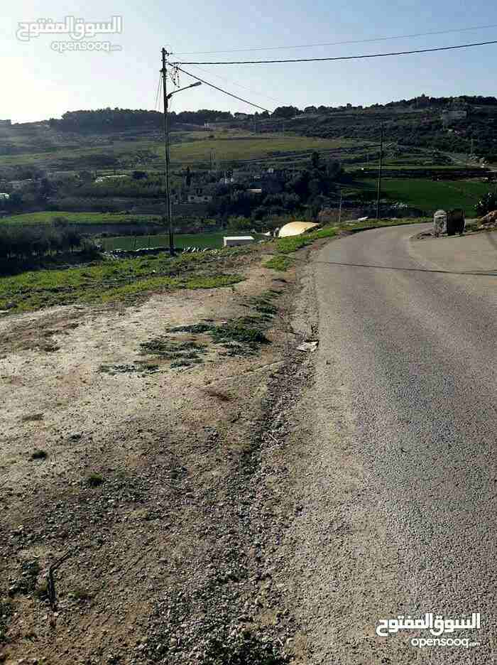 ارض للبيع ناعور وسيل حسبان قرب النبع
لا تنسَ أنك شاهدت هذا الإعلان في عنكبوت
ارض للبيع
اراضي نا...