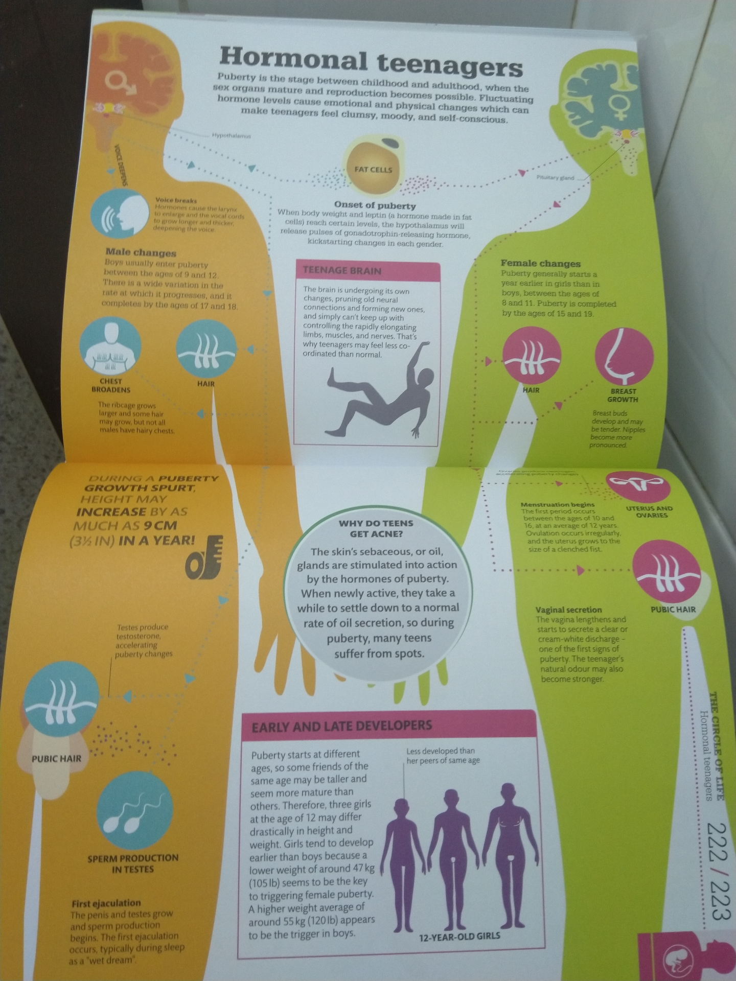 How The Body Works : The facts visually explained
لا تنسَ أنك شاهدت هذا الإعلان في عنكبوت
كتا...