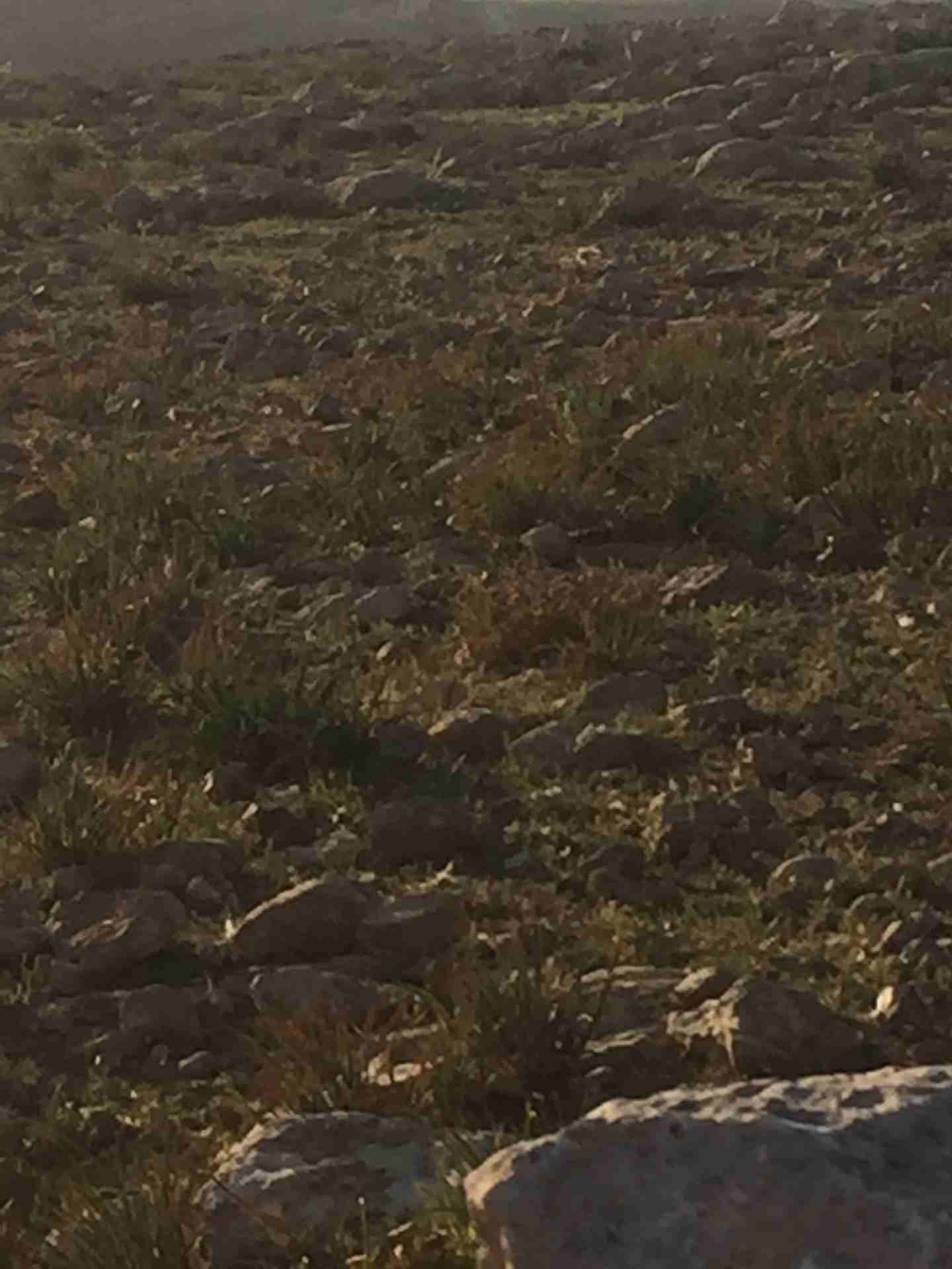 قطعة ارض للبيع في شفا بدران حوض مرج الأجرب قرب دوار الكوم من المالك                                            


	 				لا تنسَ أنك شاهدت هذا الإعلان في عنكبوت...