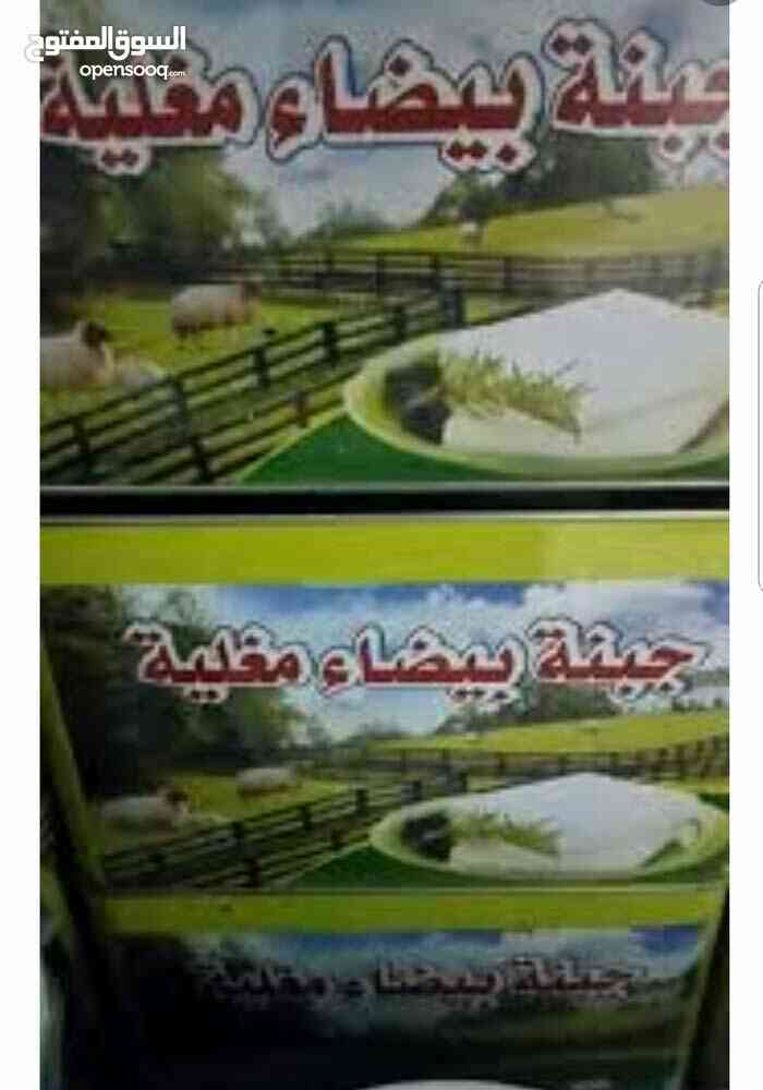 جبنه مغليه                                            


	 				لا تنسَ أنك شاهدت هذا الإعلان في عنكبوت            
	 				
                                جبنه بلديه مغليه نخب اول 4 كيلو صافي شغل ن...