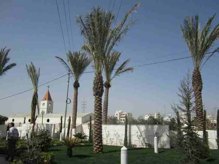 أعمال زراعة وتنسيق الحدائق
لا تنسَ أنك شاهدت هذا الإعلان في عنكبوت
مؤسسة الحديقه العصريه لزراعة و...