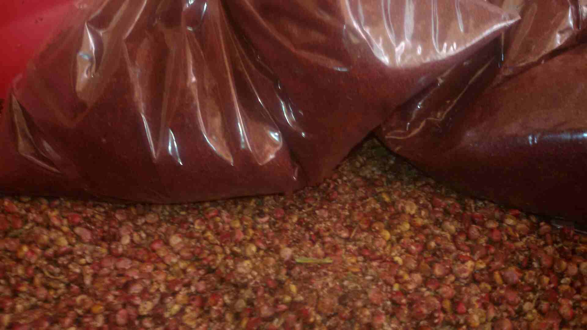 سماق بلدي للبيع
لا تنسَ أنك شاهدت هذا الإعلان في عنكبوت
سماق بلدي للبيع الكيلو ب15دينار قطف السنه...