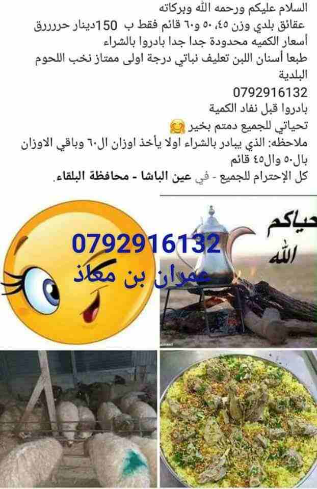 السلام عليكم ورحمه الله وبركاته
 عقائق بلدي وزن 45، 50 و60 قائم فقط ب  150دينار                                            


	 				لا تنسَ أنك شاهدت هذا الإعلان في عنكبوت...