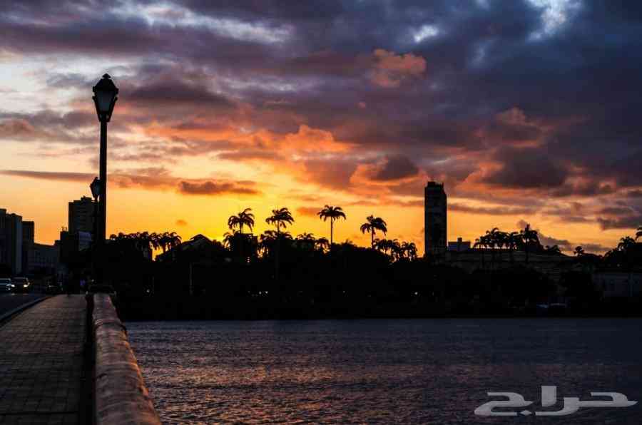 Nikon D90 فى حالة شبة جديدة
لا تنسَ أنك شاهدت هذا الإعلان في عنكبوت
السلام عليكم رحمة الله وب...