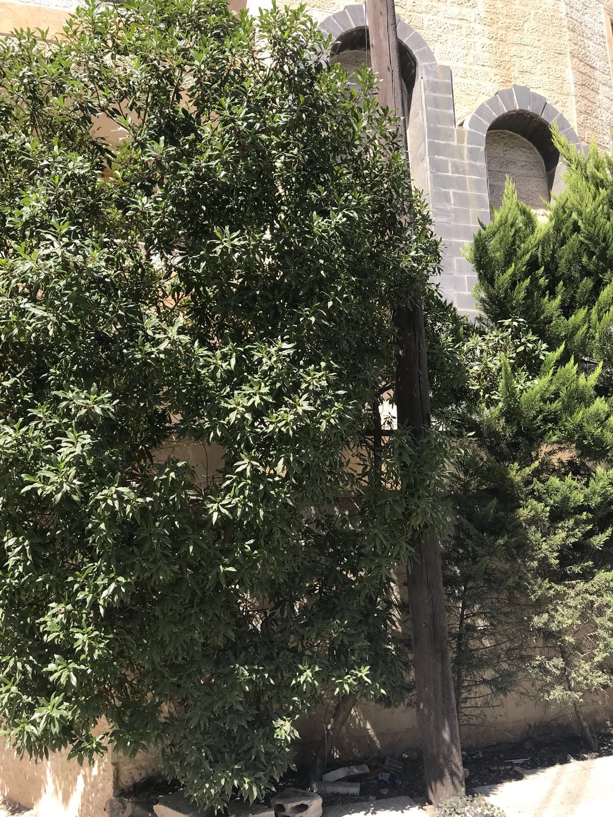 Ground Floor apartment for sale in Amman
لا تنسَ أنك شاهدت هذا الإعلان في عنكبوت
شقة ارضي184...