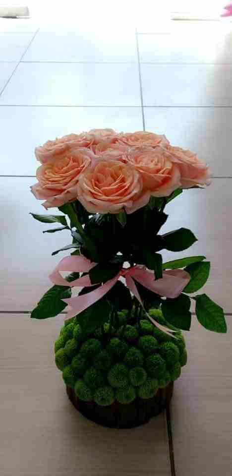 تنسيق ورد طبيعي.. نباتات .. هدايا.. بالونات
لا تنسَ أنك شاهدت هذا الإعلان في عنكبوت
تنسيق ورود.....