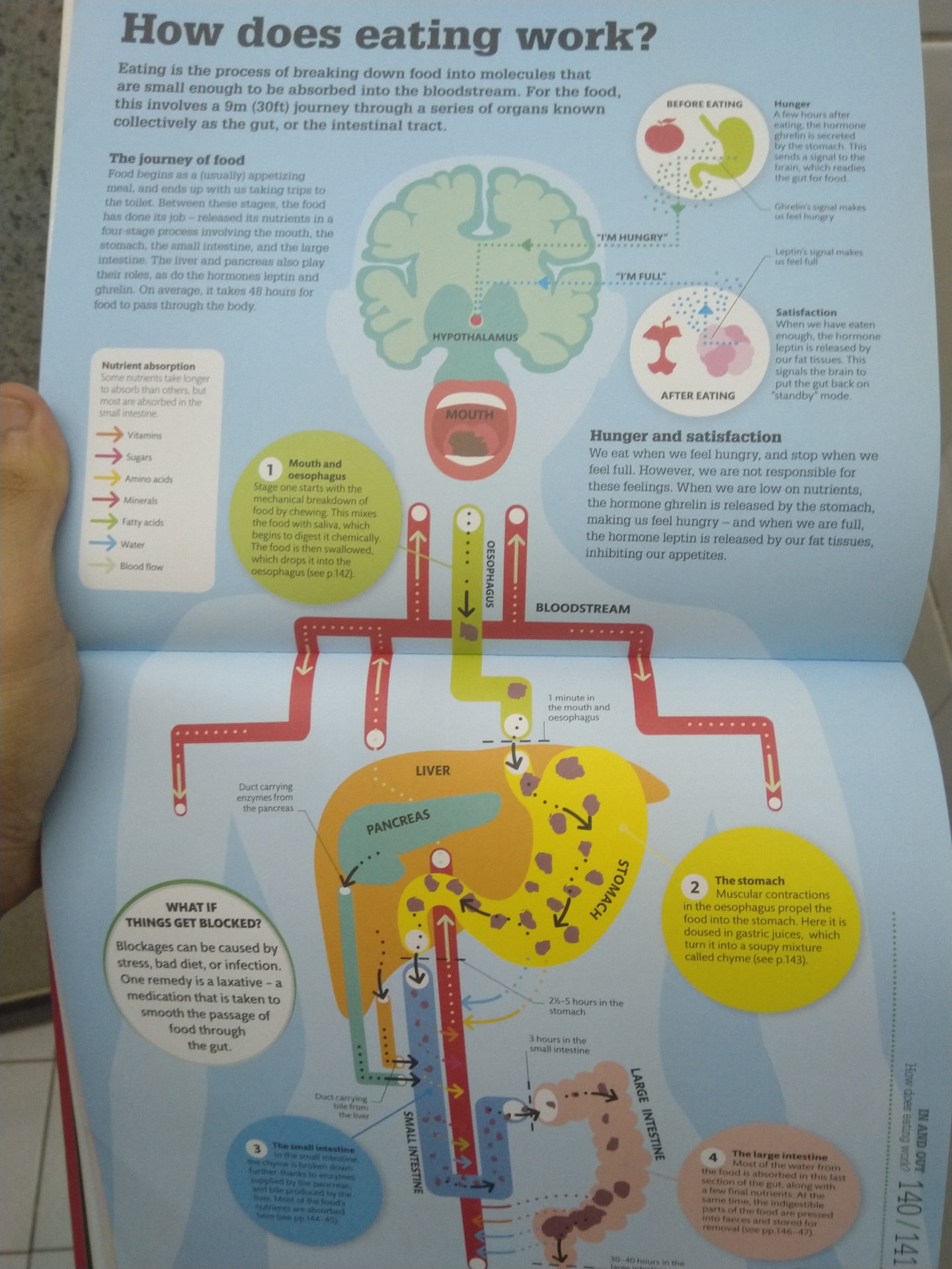 How The Body Works : The facts visually explained
لا تنسَ أنك شاهدت هذا الإعلان في عنكبوت
كتا...