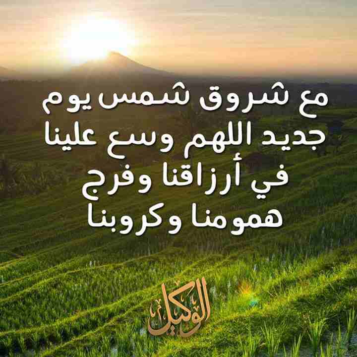 ينا حجر و طوب و حداد وطوبارجي يوميات مقاولا                                            


	 				لا تنسَ أنك شاهدت هذا الإعلان في عنكبوت            
	 				
                            بنا حجر و طوب...