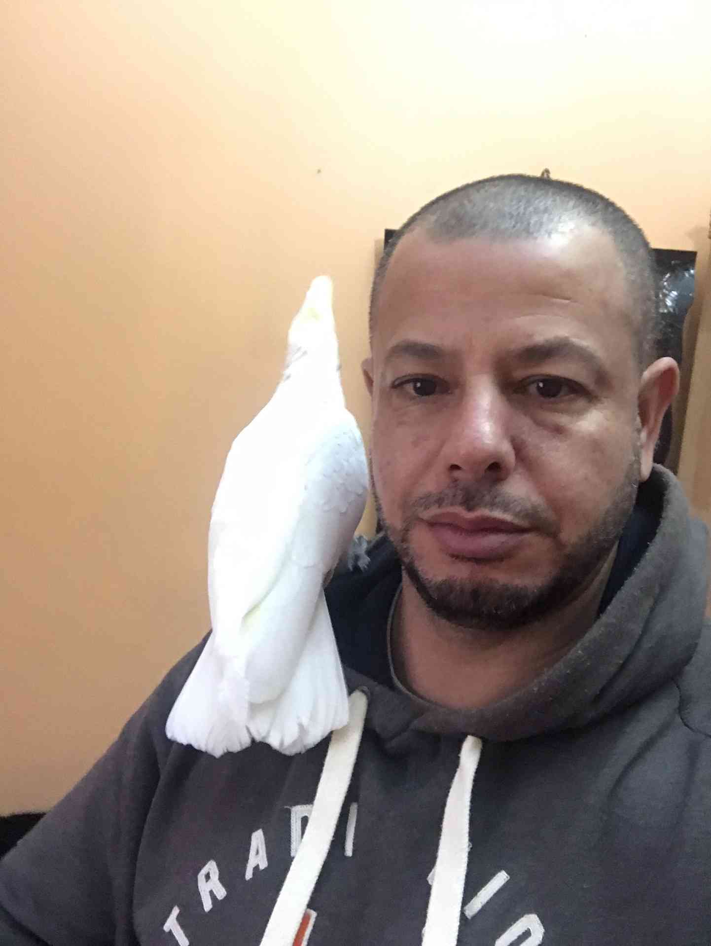 كوكاتو بلوقوفن اليف للبيع 300 دينار
لا تنسَ أنك شاهدت هذا الإعلان في عنكبوت
كوكاتو قوفن اليفه...