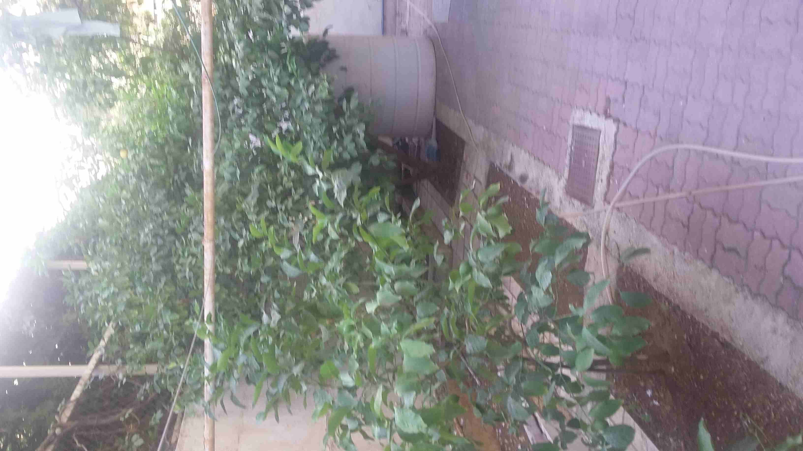 شقه طابق أرضي دوار السابع
لا تنسَ أنك شاهدت هذا الإعلان في عنكبوت
الطابق الأرضي
طابق أرضي مدخلي...
