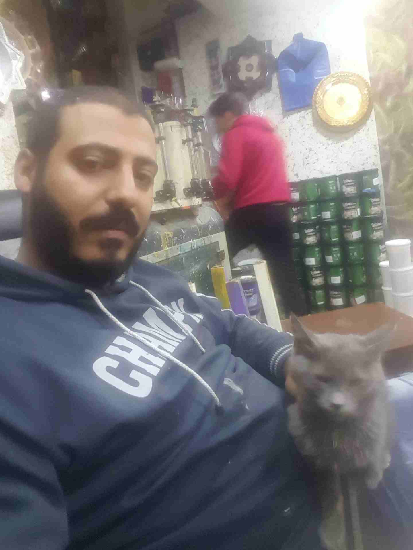 قط اليف ولعوب                                            


	 				لا تنسَ أنك شاهدت هذا الإعلان في عنكبوت            
	 				
                            قط للبيع انثى...