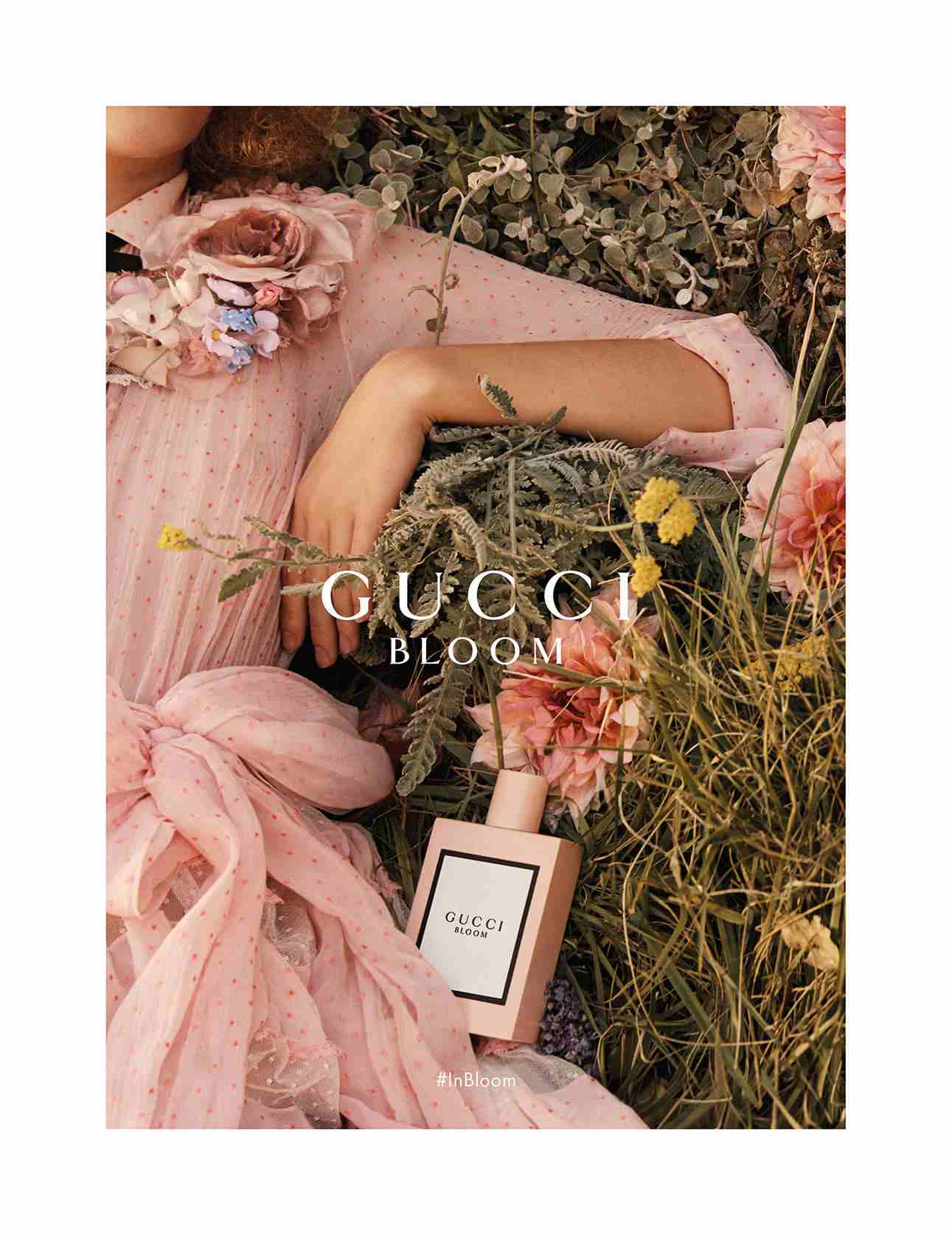عطر GUCCI BLOOM
لا تنسَ أنك شاهدت هذا الإعلان في عنكبوت
عطر GUCCI BLOOM EDP اوريجنال
100ml جديد م...