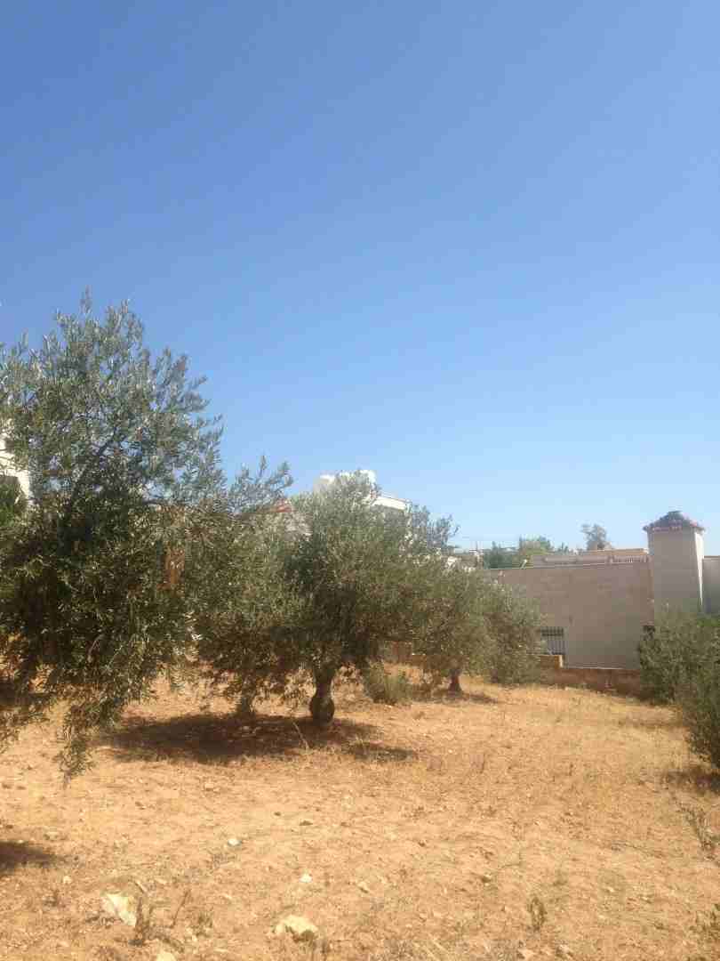 850 متر ابو نصير حوض ام بطمه موقع مميز من المالك
لا تنسَ أنك شاهدت هذا الإعلان في عنكبوت
ارض مسا...