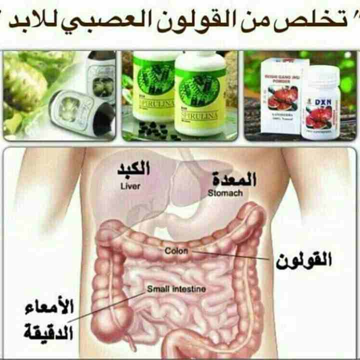 التخلص من القولون العصبي للابد                                            


	 				لا تنسَ أنك شاهدت هذا الإعلان في عنكبوت            
	 				
                            الصحه والثراء...
