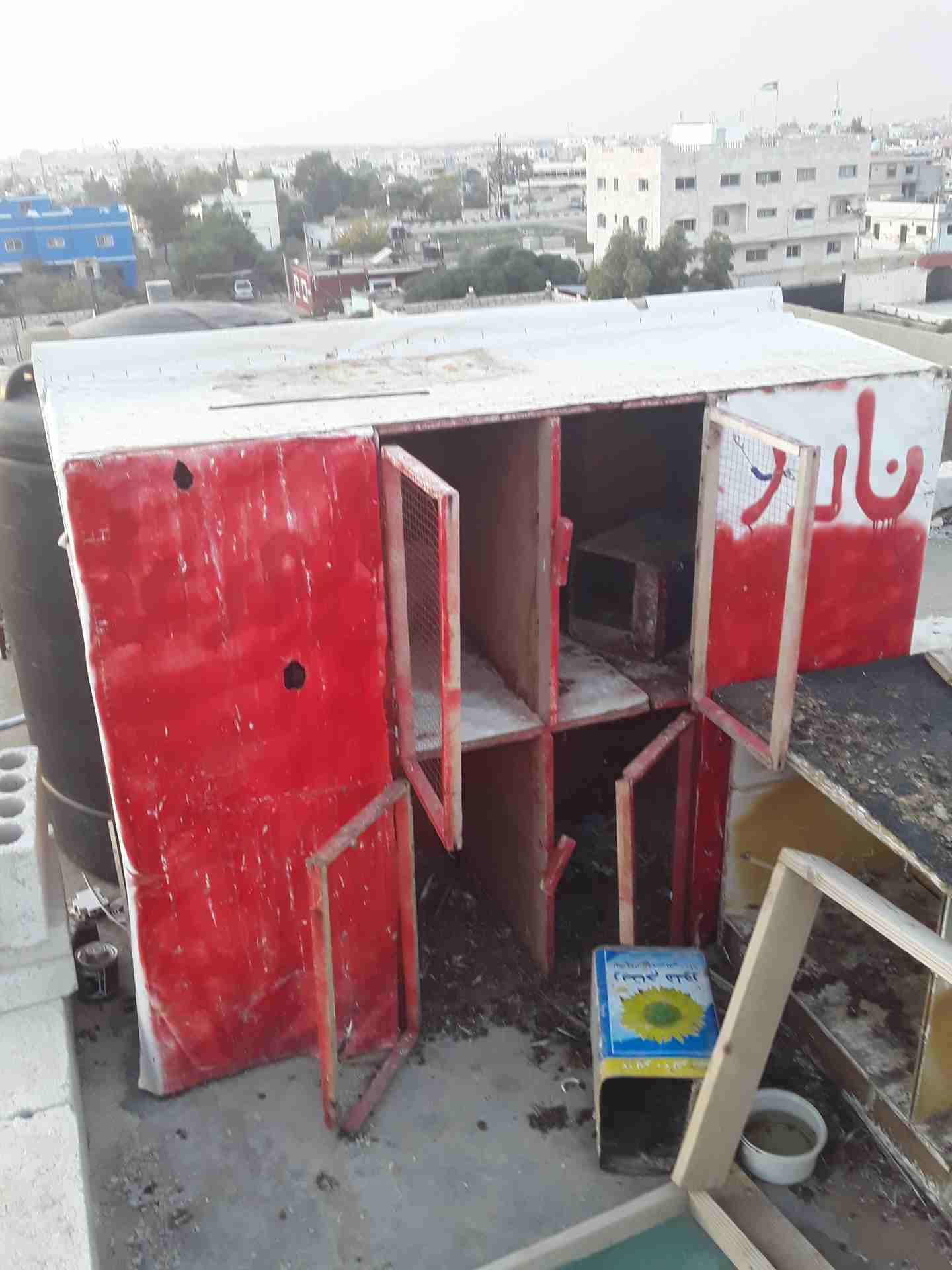 123456                                            


	 				لا تنسَ أنك شاهدت هذا الإعلان في عنكبوت            
	 				
                            بيع القفص 10دنانير مقابل حمام بلدي او نوع...