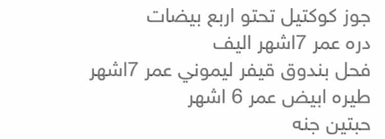 للبدل للبيع                                            


	 				لا تنسَ أنك شاهدت هذا الإعلان في عنكبوت            
	 				
                            جوز كوكتيل تحتو اربع بيضات 
دره اليف7اشهر
بند...