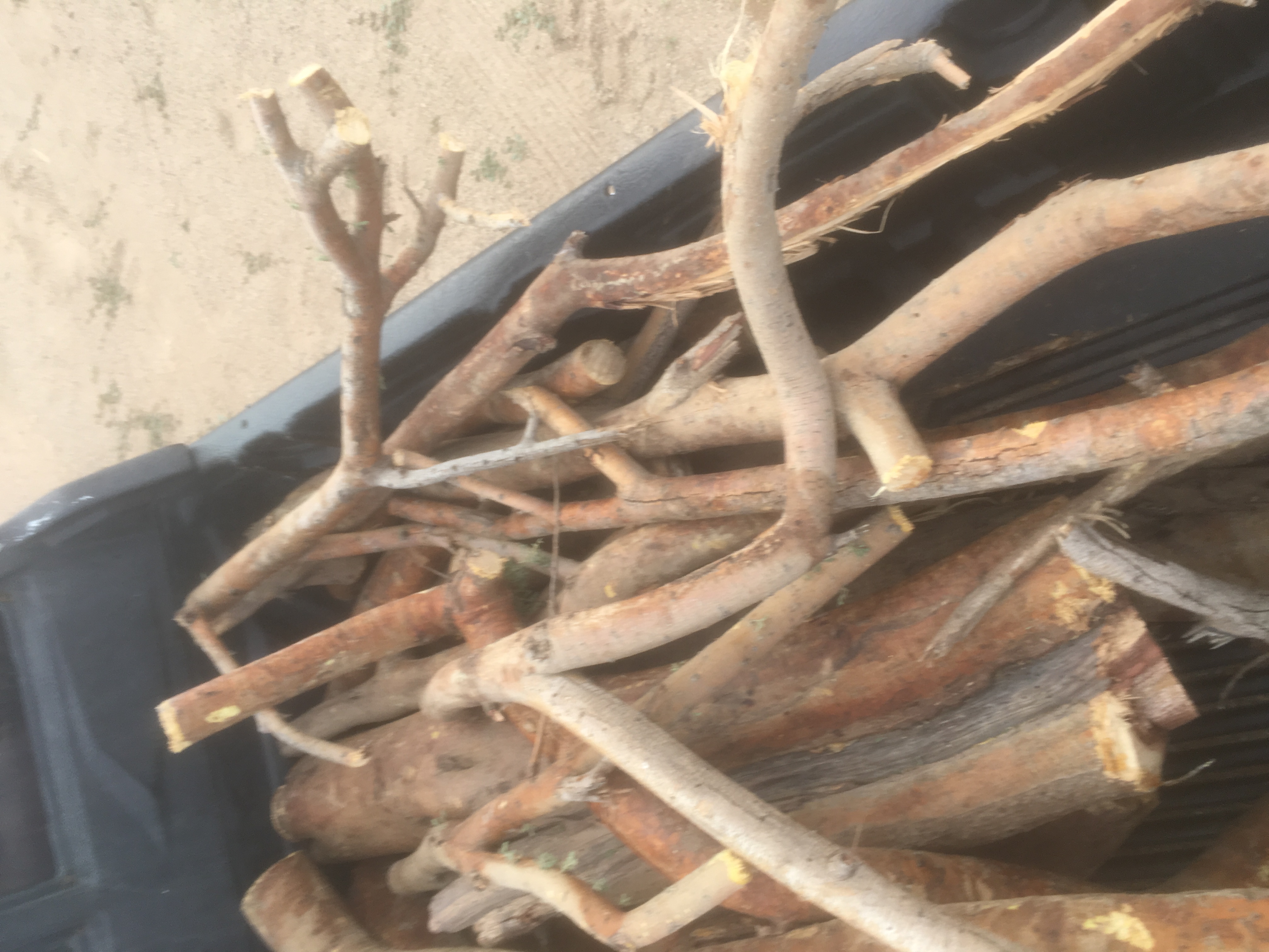 سمر حطب سمر الجموام                                            


	 				لا تنسَ أنك شاهدت هذا الإعلان في عنكبوت            
	 				
                                حطب للبيع...