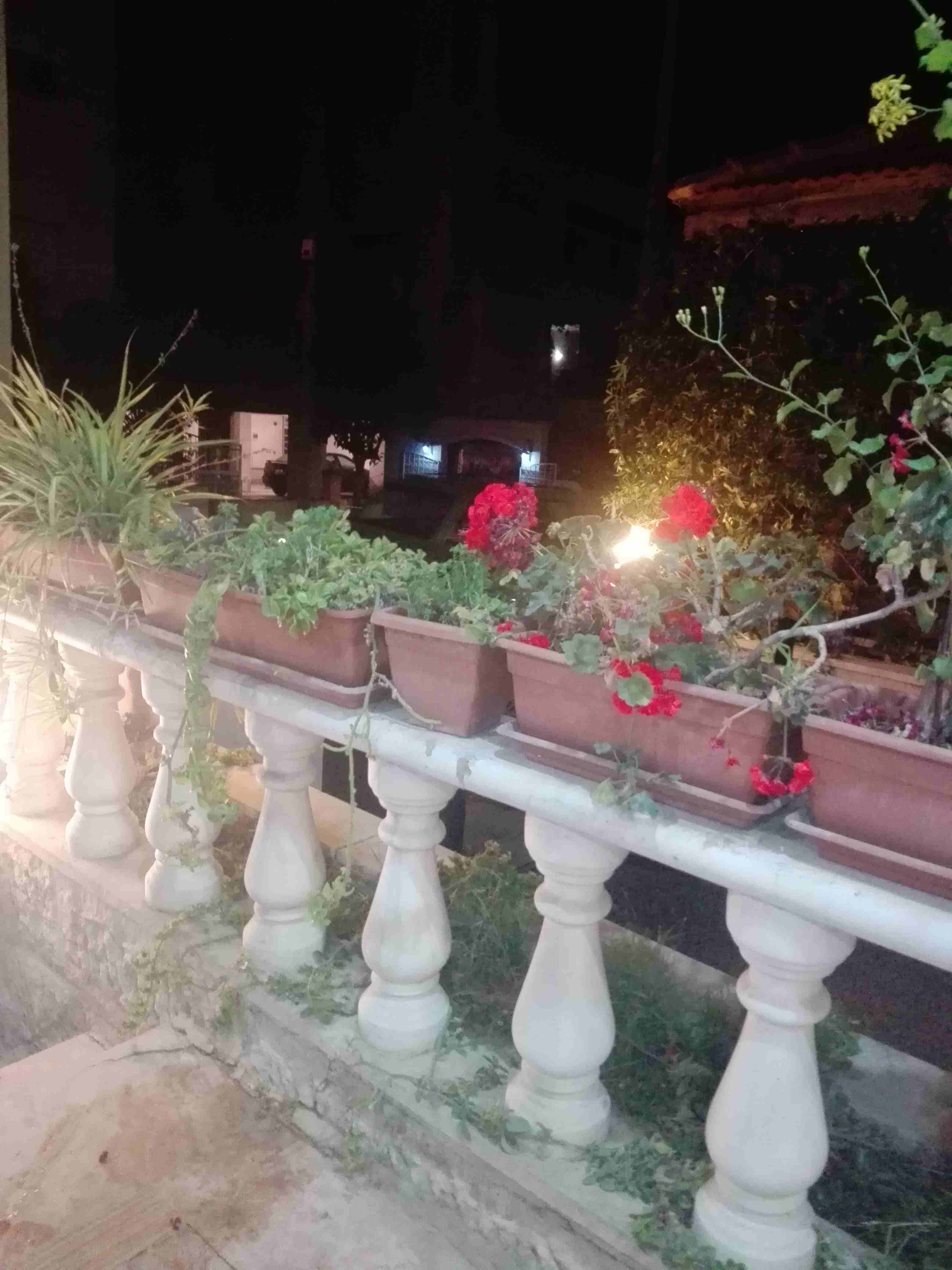 شقه أرضية للايجار الشميساني
لا تنسَ أنك شاهدت هذا الإعلان في عنكبوت
أرضية 175م الشميساني اشارات ا...