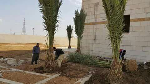 تنسيق الحدائق والديكورات وعمل كل ما يلزم الحديقة
لا تنسَ أنك شاهدت هذا الإعلان في عنكبوت
السل...