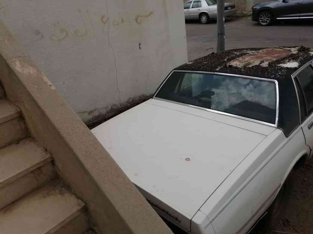كابريس 86
لا تنسَ أنك شاهدت هذا الإعلان في عنكبوت
المحرك ب جميع أغراض والجربوكس والدنمو والسل...