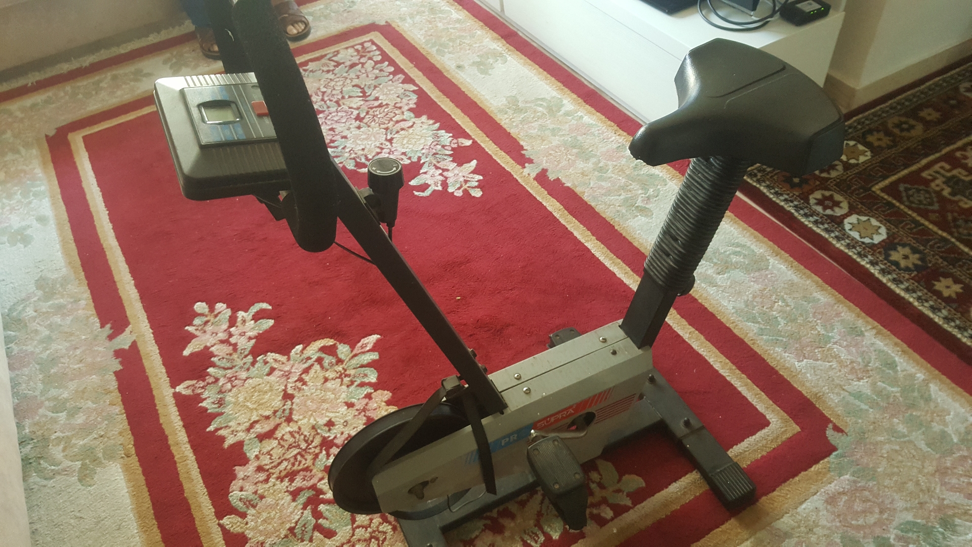 جهاز بسكليت                                            


	 				لا تنسَ أنك شاهدت هذا الإعلان في عنكبوت            
	 				
                                جهاز بسكليت رياضة بحاجة الى صيانة
المدينة...