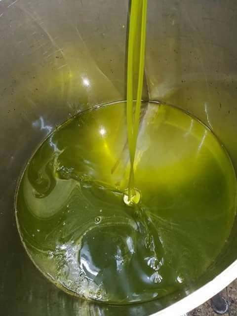 زيت زيتون بعل رومي زيت العام الماضي السعر مناسب 53    الهاتف 0776202056                                            


	 				لا تنسَ أنك شاهدت هذا الإعلان في عنكبوت...