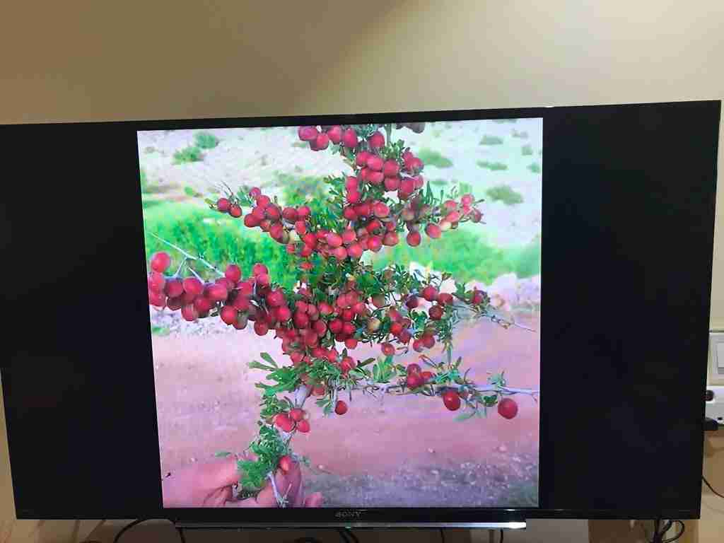 عفش بيت كامل مكمل للبيع 7500
لا تنسَ أنك شاهدت هذا الإعلان في عنكبوت
المهتم الرجاء التواصل وا...