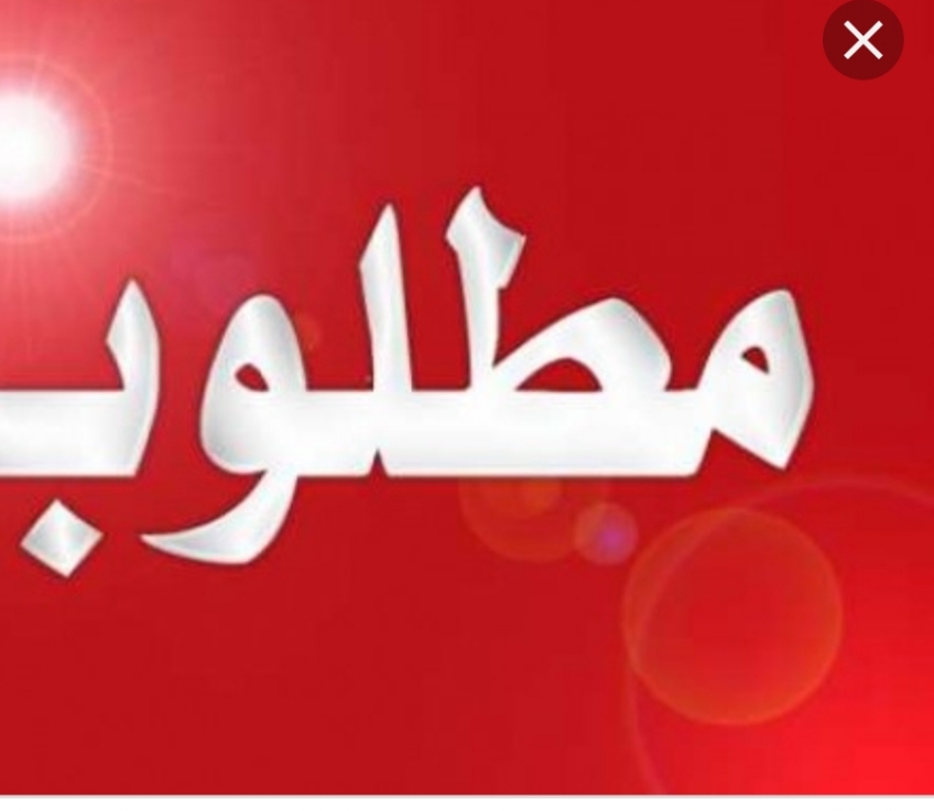 مطلوب سيارة دايو لانوس بدفعة 500 وقسط شهري80                                            


	 				لا تنسَ أنك شاهدت هذا الإعلان في عنكبوت            
	 				
                                مطلوب سي...