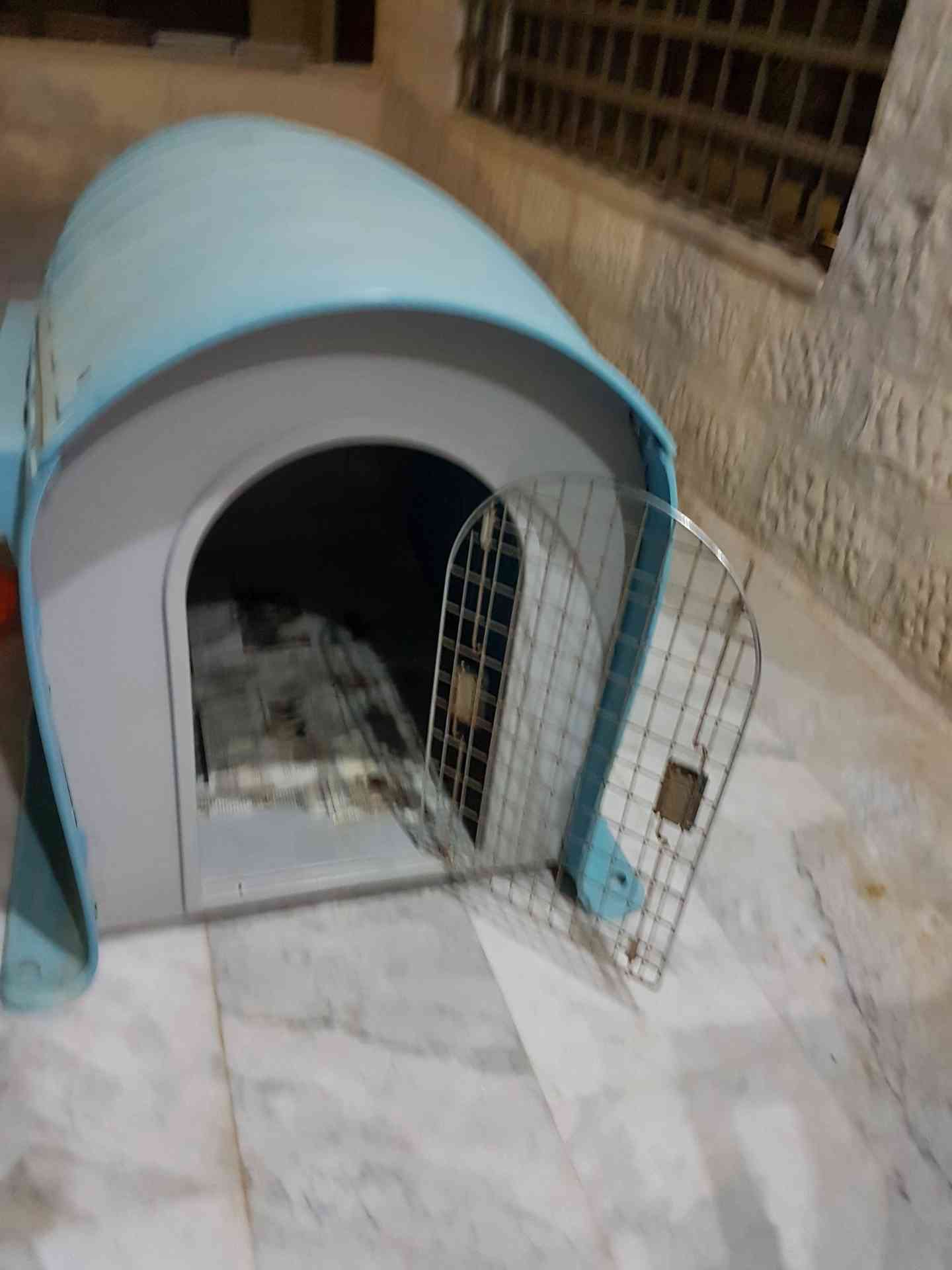 كلب هسكي مالميوت مكس و منزل خاص به للبيع
لا تنسَ أنك شاهدت هذا الإعلان في عنكبوت
الكلب ماخذ...