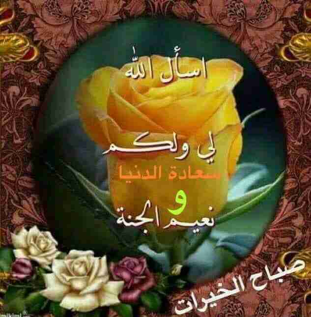 مطلوب ممول لفكرة مشروع ناجح بعون الله                                            


	 				لا تنسَ أنك شاهدت هذا الإعلان في عنكبوت            
	 				
                                الفكرة مش موجود...