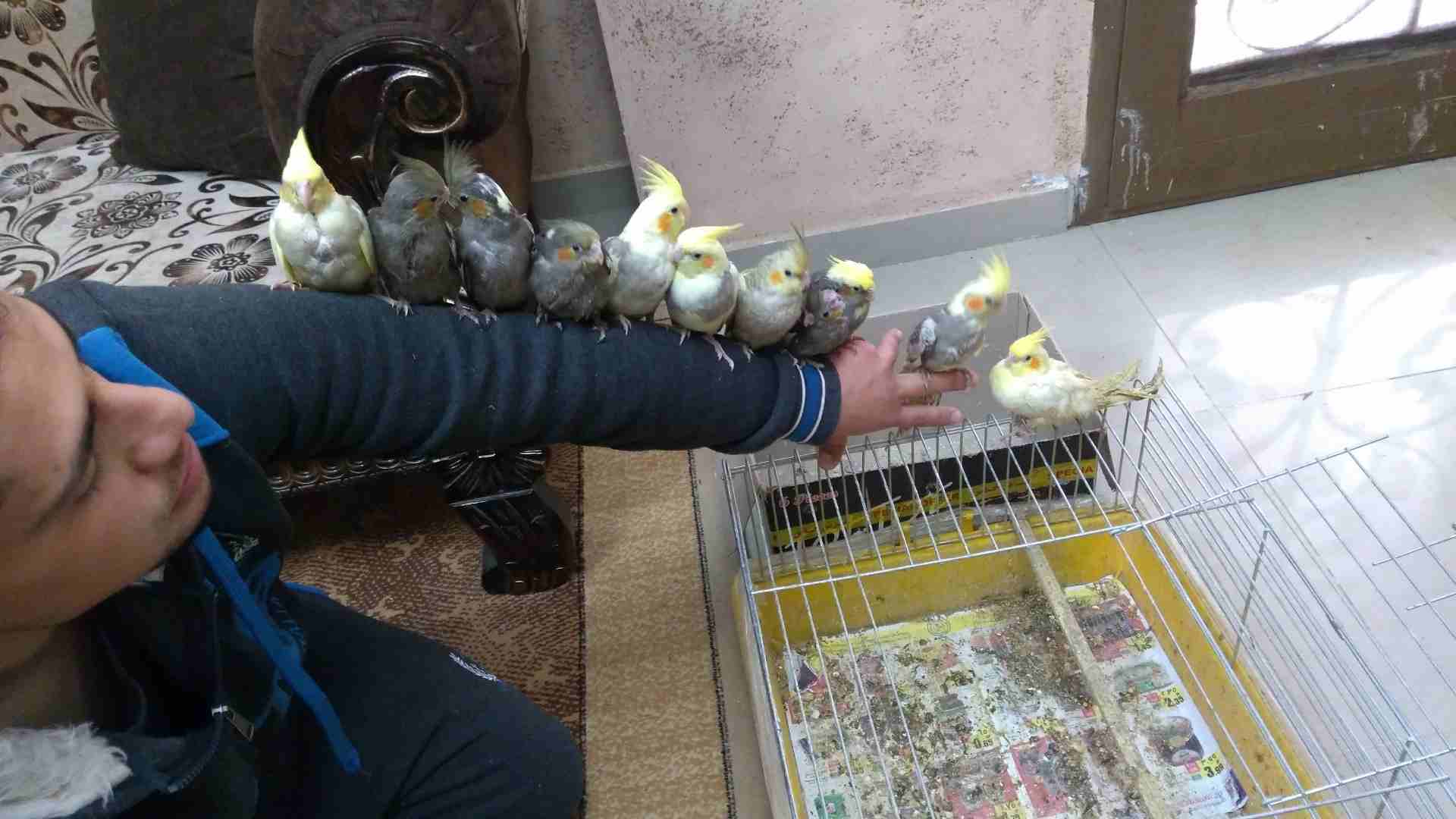 كوكتيل أليف                                            


	 				لا تنسَ أنك شاهدت هذا الإعلان في عنكبوت            
	 				
                            ما شاء الله
عرض خاص يا بلاش بلدي صحة ونظافة
ك...